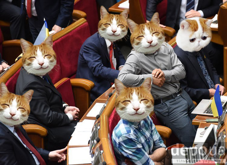 Чому українською державою мають керувати коти (ФОТОЖАБИ) - фото 2