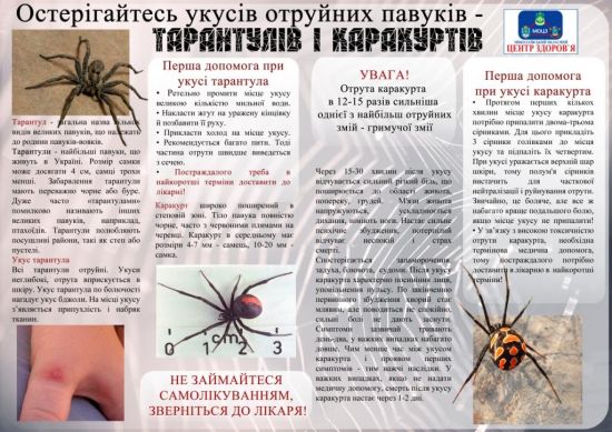 На Миколаївщині вже є постраждалі від укусів каракуртів