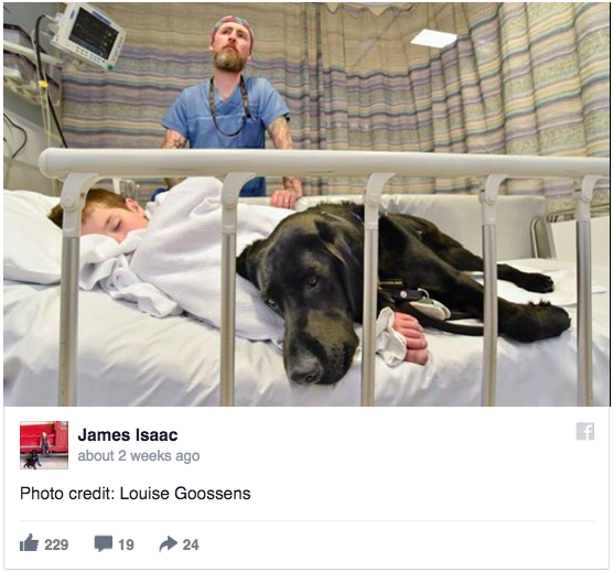 Як хлопчик, який ні з ким не говорить, лежав у лікарні з собакою  - фото 2