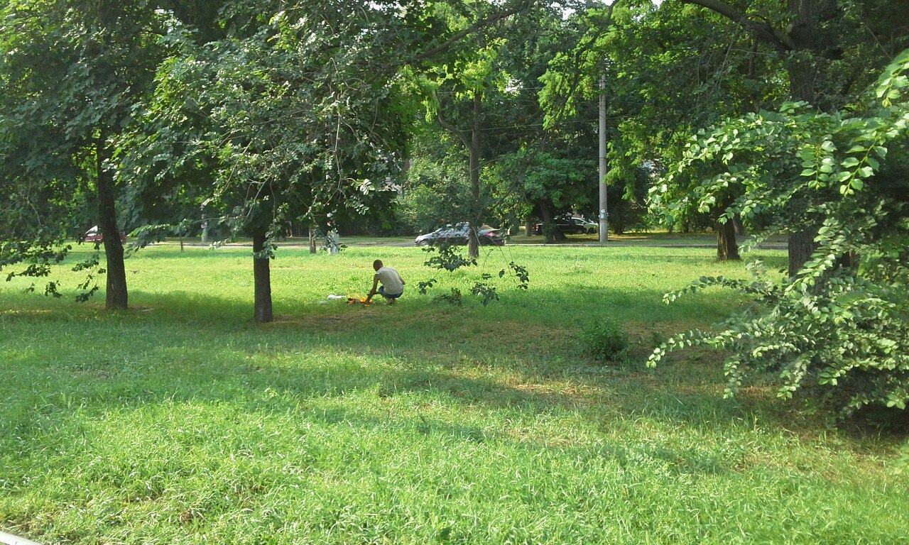 У Миколаєві нахабні городяни смажили шашлики прямо на газоні - фото 2