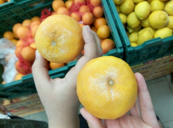 Миколаївці склали вірш про гнилі лимони у місцевому супермаркеті - фото 1
