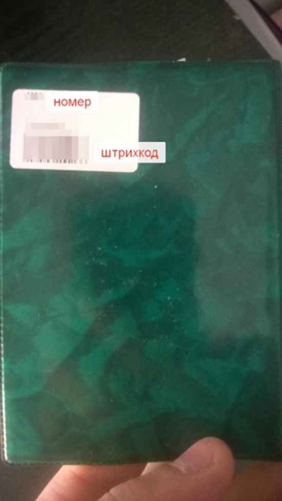 Оголена дівчина та кіт - "спостерігач": як проходив другий тур виборів у ФОТО - фото 14