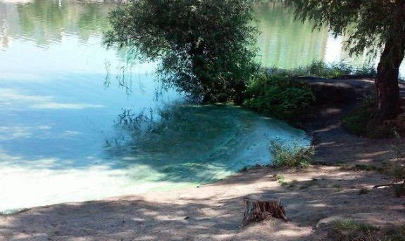 Кияни стурбовані: озеро Сонячне забарвилося в дивний зелено-блакитний колір - фото 1 Кияни стурбовані: озеро Сонячне забарвилося в дивний зелено-блакитний колір - фото 1