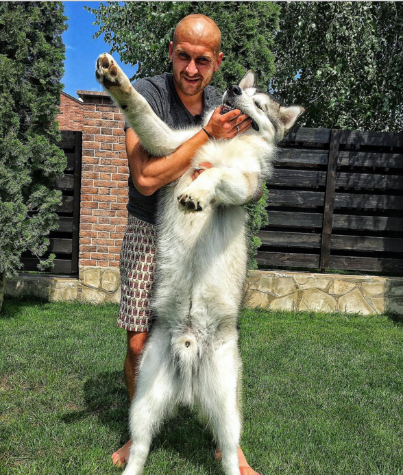 Як Ракицький обіймався зі своїм псом - фото 1