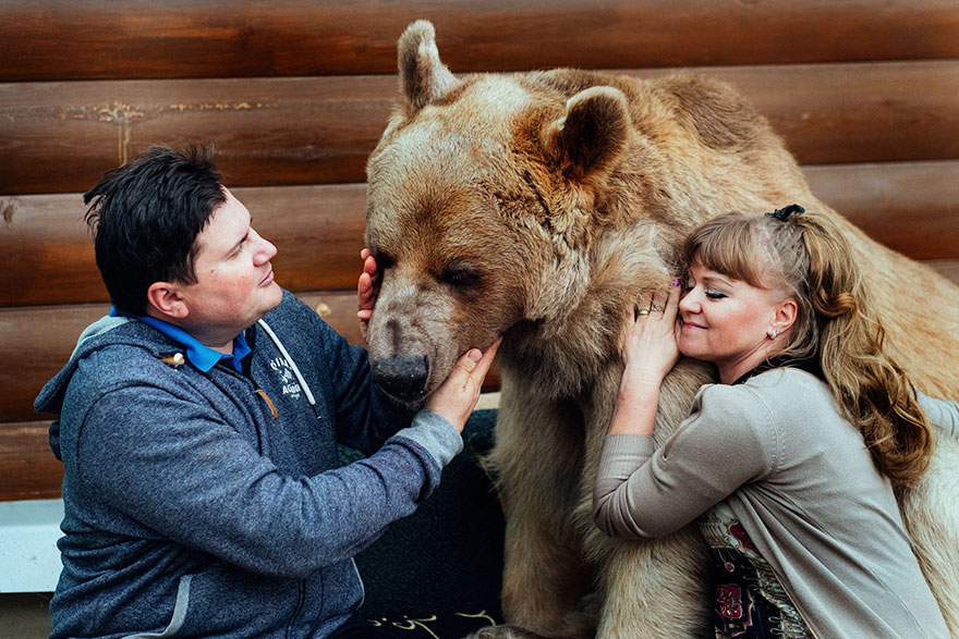 Як ведмідь розкошує в будинку у Москві - фото 2