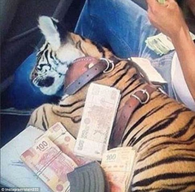 Як багатії мучать левів, тигрів і гепардів у сумках і на диванах - фото 2
