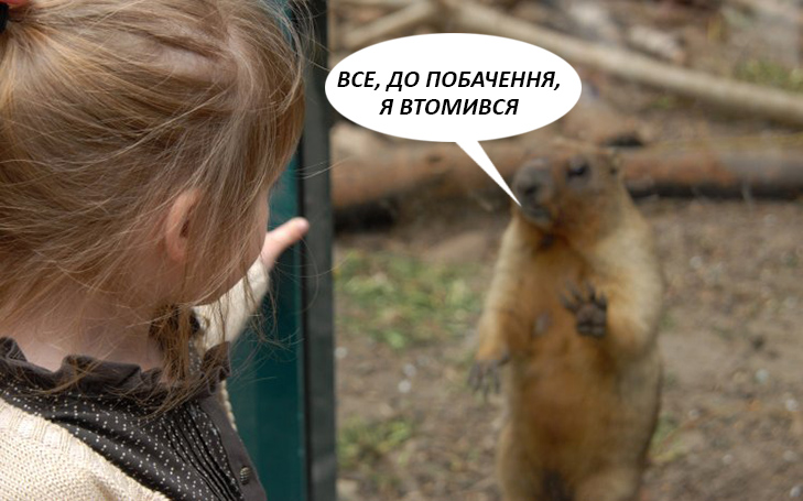 Прогнози бабака (ФОТОЖАБИ) - фото 7