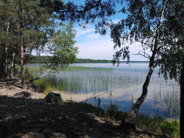 Подорожі Україною: ТОП-10 вражаючих озер - фото 5