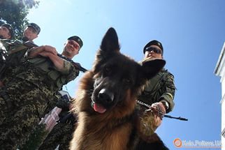Чим займаються на Донбасі найкращі друзі бійців АТО - 6 - фото 11