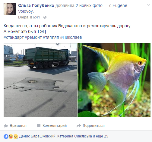 У Миколаєві комунальники поробили на дорогах латки-"рибки"