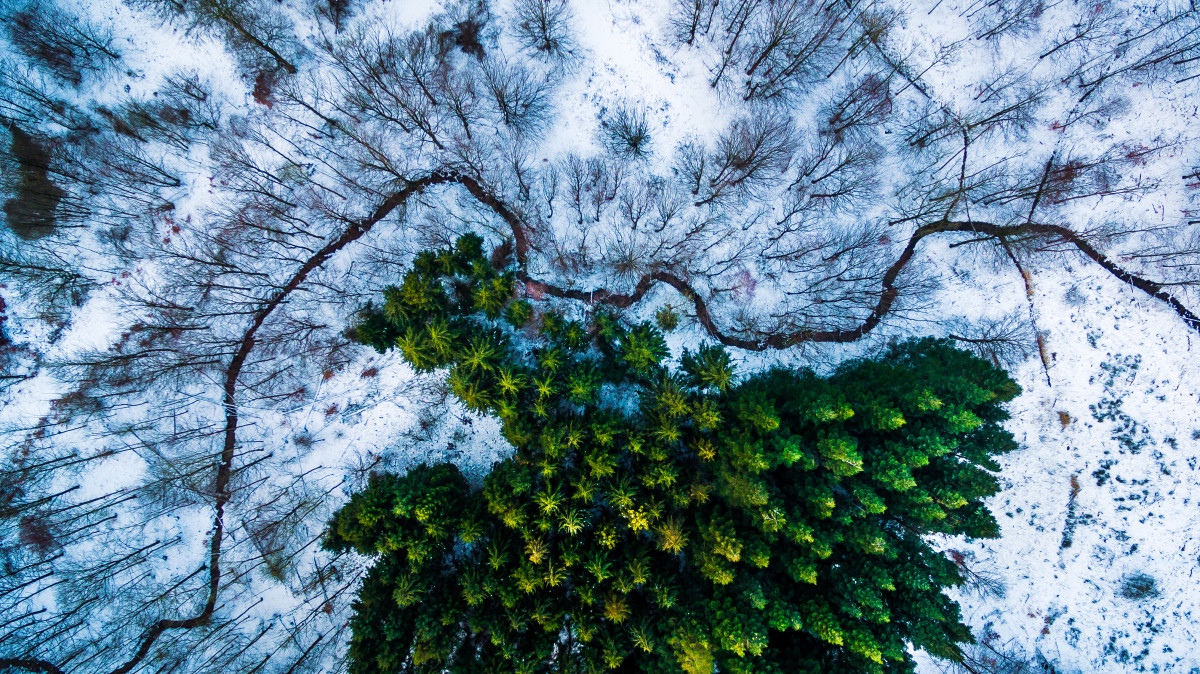 ТОП-9 найдивовижніших фото, зроблених дронами  - фото 9