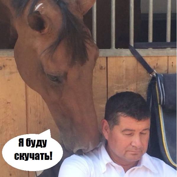 Онищенко не поїде до своїх коней у Ріо-де-Жанейро - фото 1