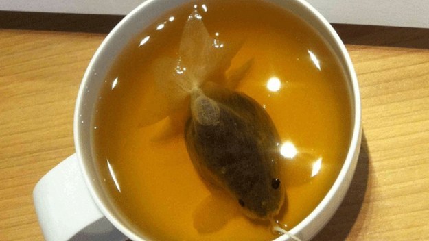 Як виглядають пакетики чаю у вигляді золотих рибок  - фото 4