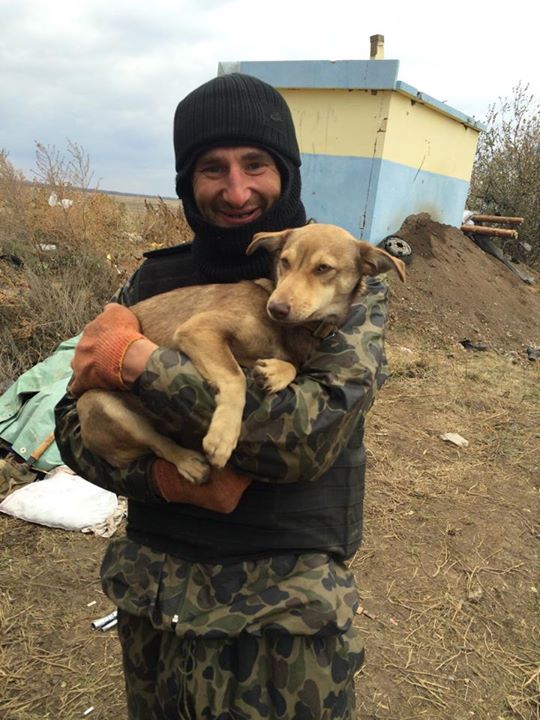 Чим займаються на Донбасі найкращі друзі бійців АТО - 7 - фото 10