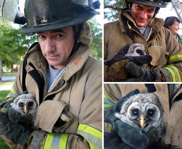 Як пожежники рятують тварин: ТОП-7 зворушливих фото - фото 2