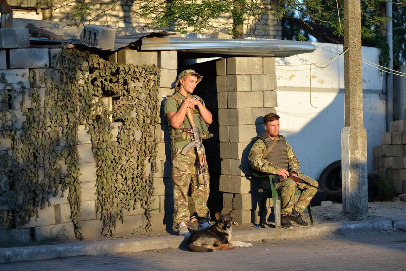Чим займаються на Донбасі найкращі друзі бійців АТО - 2 - фото 17