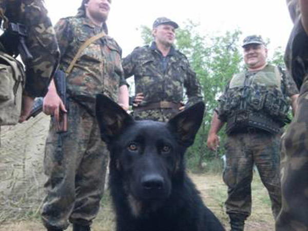 Чим займаються на Донбасі найкращі друзі бійців АТО-4 - фото 10