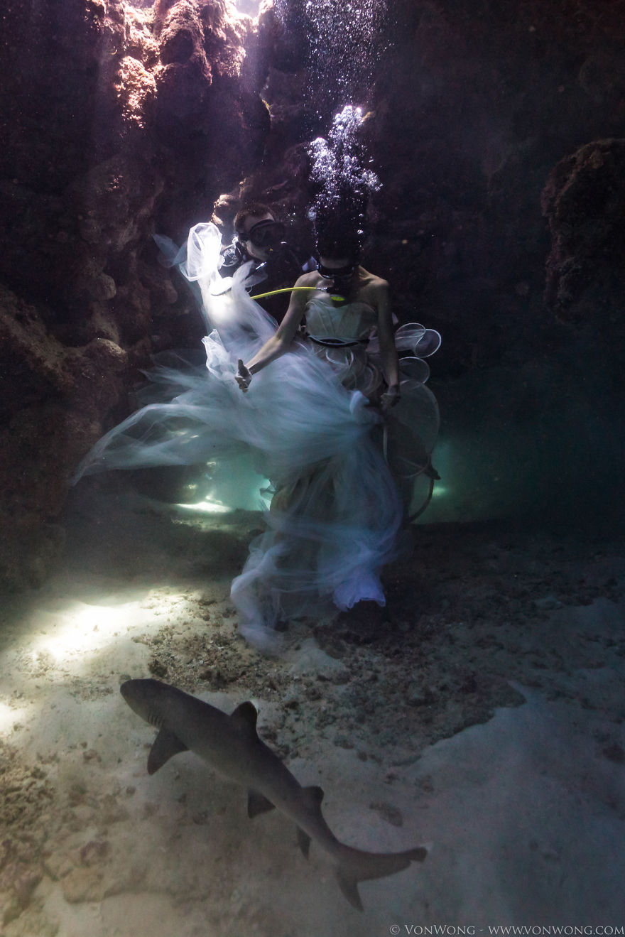 Як фотограф наказав моделям пірнати в розкішних сукнях під воду заради акул - фото 6
