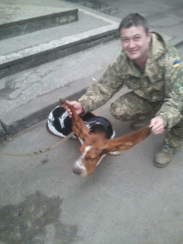 Чим займаються на Донбасі найкращі друзі бійців АТО - 6 - фото 12
