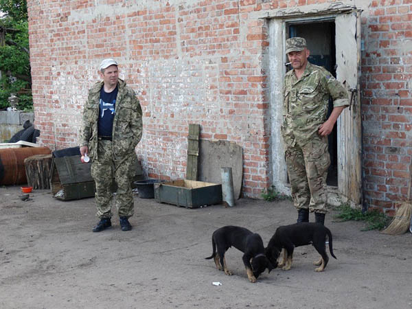 Чим займаються на Донбасі найкращі друзі бійців АТО-4 - фото 9