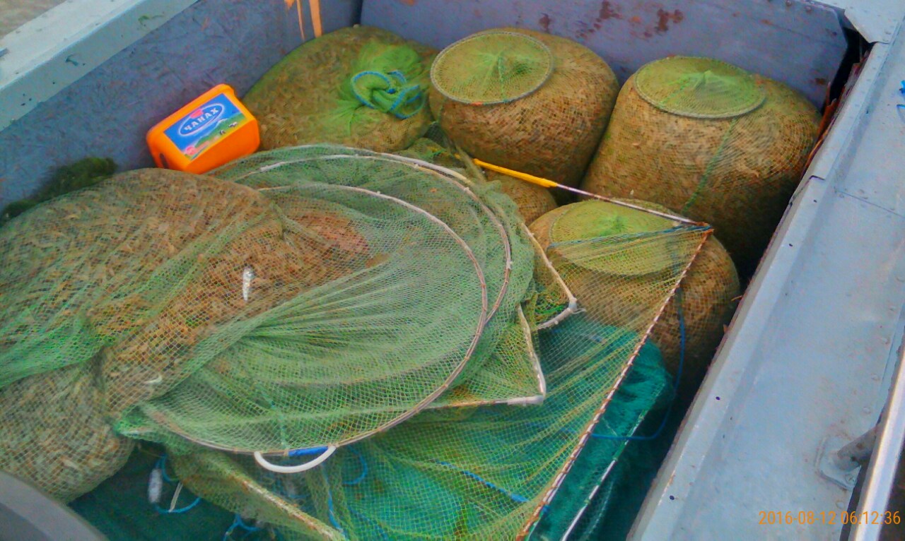 В Очакові рибалка нелегально "навигрібав" креветки більш ніж на 100 тис. грн