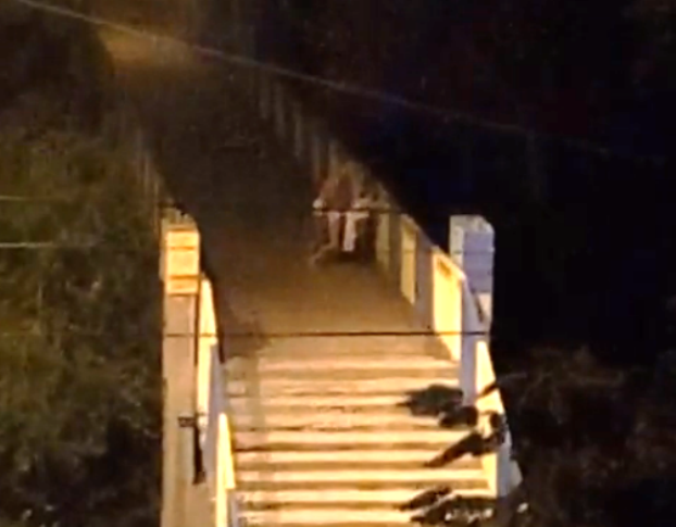 Парочка віддалася любовним утіхам на мості у центрі Запоріжжі - фото 1