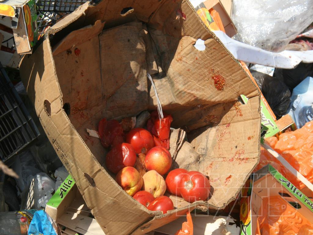Росіяни шукають серед сміття недочавлені санкційні продукти  - фото 1