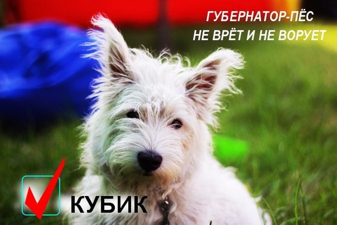 В губернатори Ленінградської області висунули собаку (ФОТО) - фото 1
