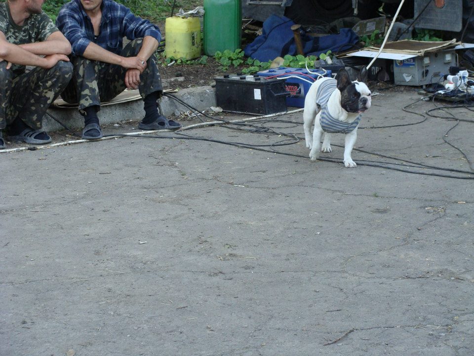 Чим займаються на Донбасі найкращі друзі бійців АТО - фото 14