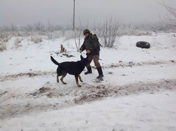 Чим займаються на Донбасі найкращі друзі бійців АТО-4 - фото 15
