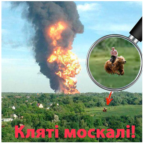 Як Кириленко буде ліквідувати наслідки пожежі під Васильковом (ФОТОЖАБИ) - фото 8