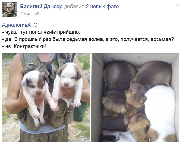 Чим займаються на Донбасі найкращі друзі бійців АТО-4 - фото 3