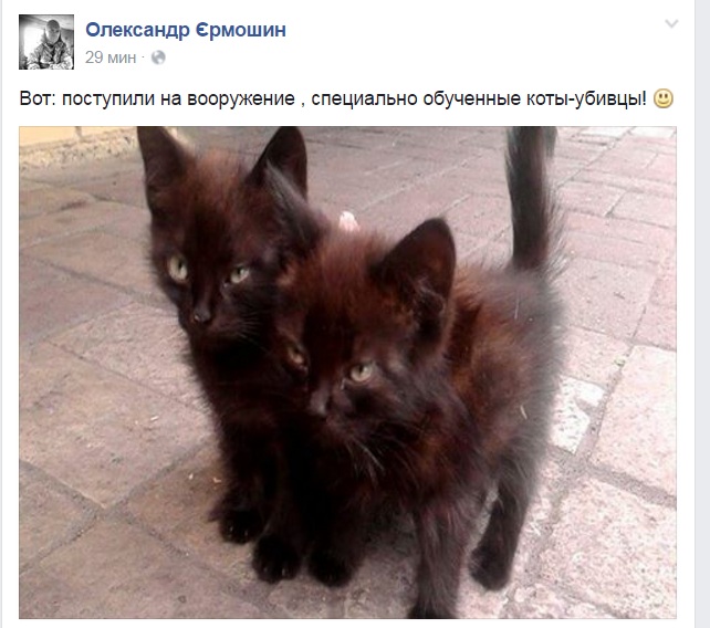 За що в АТО треба поставити пам'ятник котам і... гусям - фото 4 За що в АТО треба поставити пам'ятник котам і... гусям - фото 4