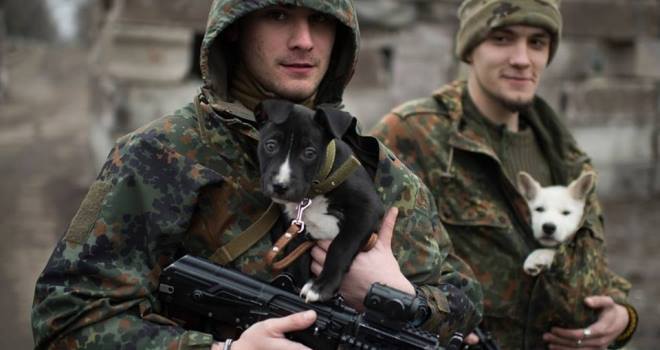 Чим займаються на Донбасі найкращі друзі бійців АТО - фото 9