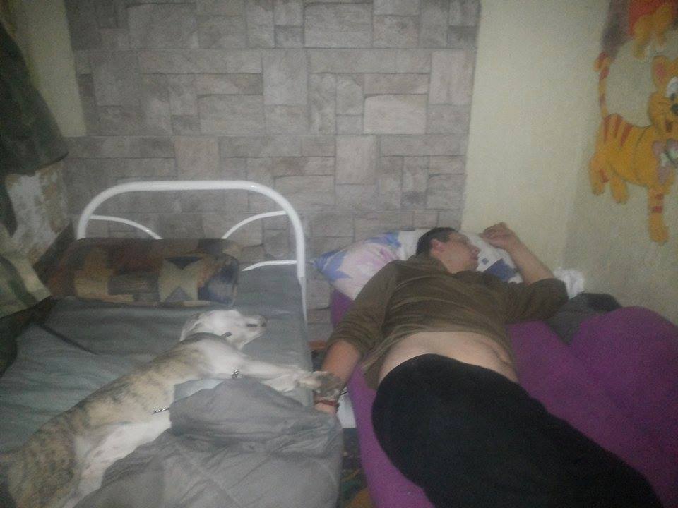 Чим займаються на Донбасі найкращі друзі бійців АТО - фото 3