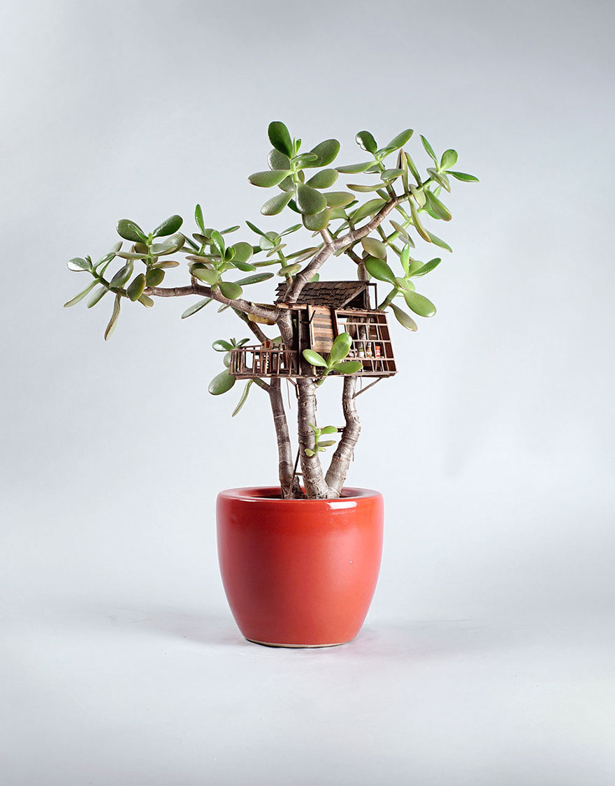 Як виглядають мініатюрні будиночки на кімнатних рослинах - фото 3