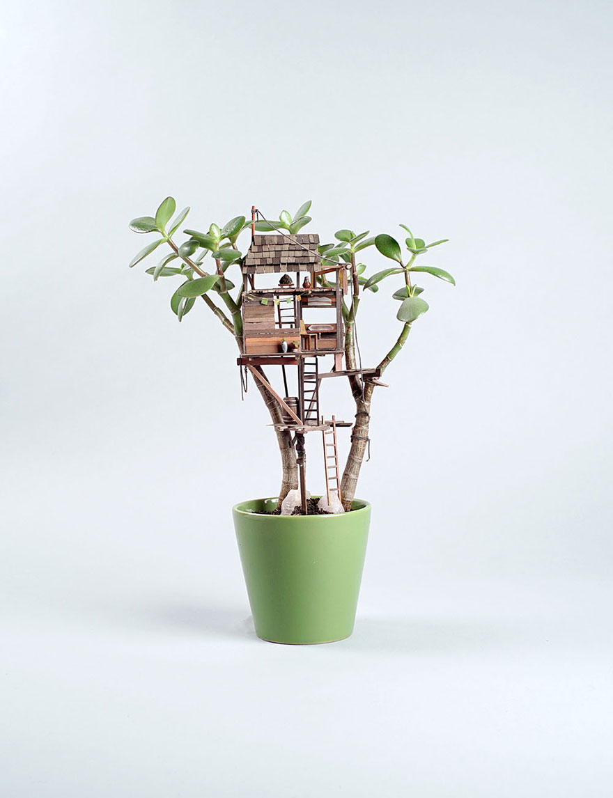 Як виглядають мініатюрні будиночки на кімнатних рослинах - фото 1