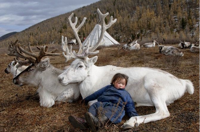 Як неймовірно виглядає життя монгольського загубленого племені  - фото 7