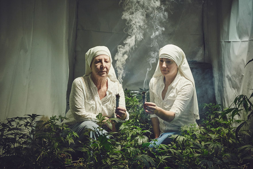 Як американські монахині вирощують марихуану - фото 2