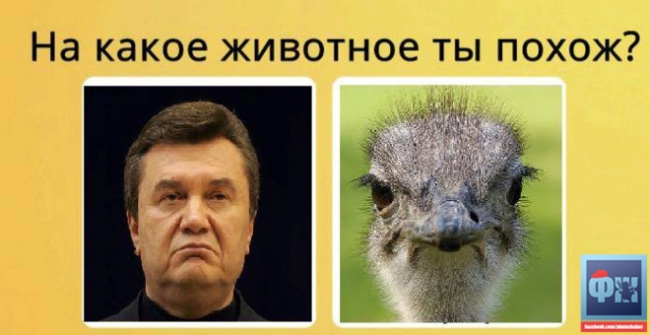 Янукович (ФОТОЖАБИ) - фото 10