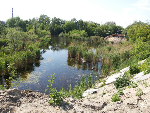 Підприємство депутата Київради засипає водойму на Лівому березі столиці  - фото 3