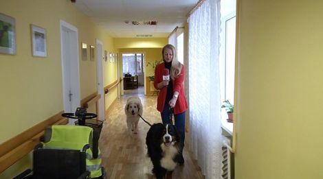 У Латвії пенсіонерів лікують величезні собаки  - фото 2
