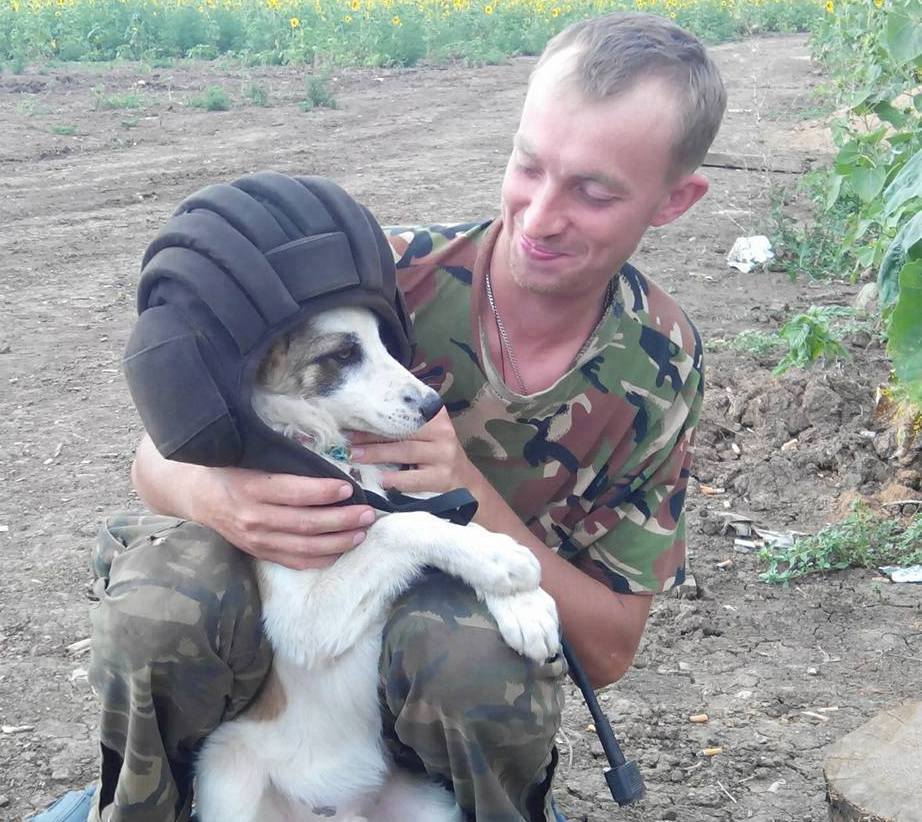 Чим займаються на Донбасі найкращі друзі бійців АТО - 2 - фото 3