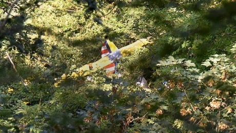 Після катастрофи літака пілот просидів на дереві 12 годин - фото 1