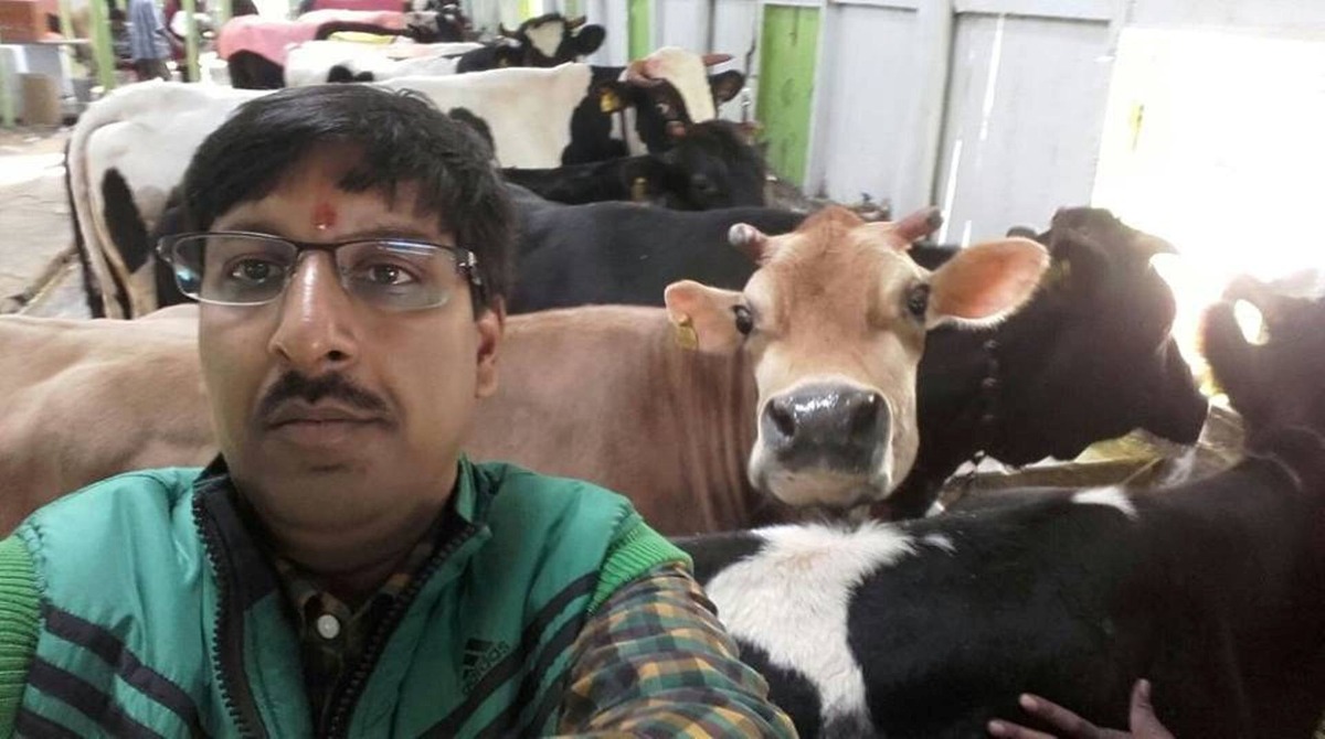 В Індії пройшов конкурс на найкраще селфі з коровою - фото 2