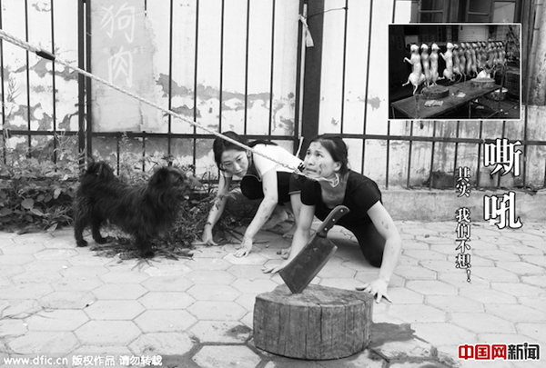 В Китаї пройшов фестиваль собачого м'яса (ФОТО 18+) - фото 5