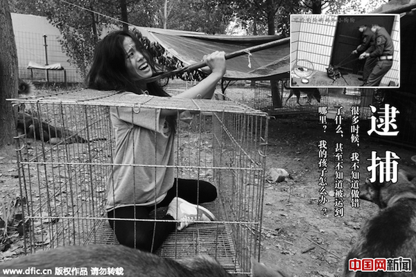 В Китаї пройшов фестиваль собачого м'яса (ФОТО 18+) - фото 6