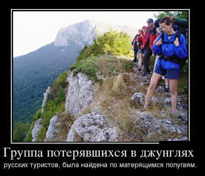 Попугаи