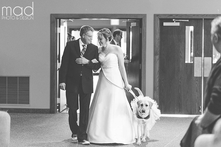 Як службова собака заспокоювала наречену на весіллі  - фото 2