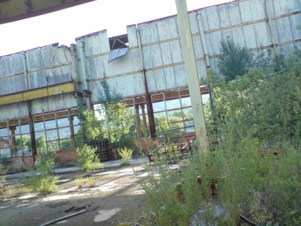 Смерть гіганта: Як виглядають руїни вертолітного заводу на Закарпатті - фото 7